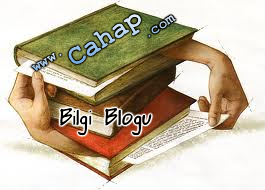 cahap.com logo