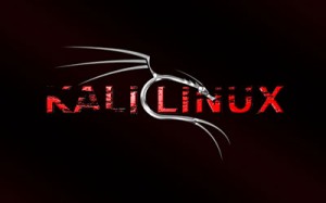 Kali Linux E: invalid Operation Software Hatası